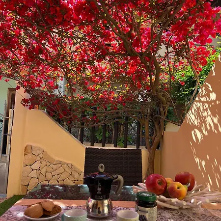 Gaia Віллазімьюс